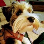 Sue Headley Thomas - @sue.headley.thomas89 - Instagram