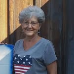 Sue Hedrick - @sue.hedrick.52 - Instagram