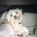 Sue Heim - Facebook