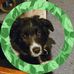 Sue Heim - Facebook