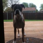 Harley - @_harley_sue_heiserman_ - Instagram
