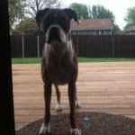 Harley - @harley_sue_heiserman - Instagram