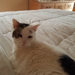 MarySue Heiser - @marysueheiser - Instagram
