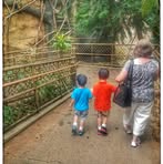 Sue Heiser - Facebook