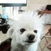 sueheiser351 - @sueheiser351 - TikTok