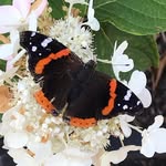 Sue Hendrickson - @suuzq17__sue_hendrickson - Instagram