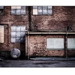 Sue Hendrickson - @bluebluesue_ - Instagram