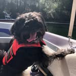 Sue Hendrickson - @sueh1964 - Instagram