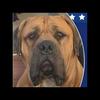 Susie Hendrickson - @susie.hendrickson - TikTok
