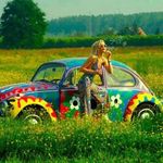 Sue Henley - @ssusanh2779 - Instagram