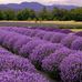 Susan Hermann - Facebook