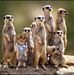 Sue Hesse - Facebook