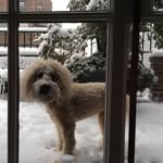 Sue Hessel - @hesselsue - Instagram