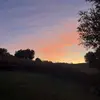 Sue Hesselberg - @sue.hesselberg - TikTok