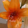 suehesser - @suehesser - TikTok