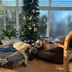 Sue Hibbert - Facebook