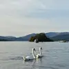 Sue Hibbert - @sue.hibbert92 - TikTok