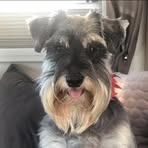 Sue Hibbert - Facebook