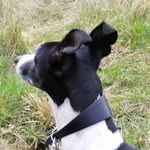 Sue Hibbert - @sue.hibbert.1426 - Instagram
