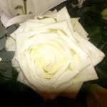 Sue Hibbert - @hibbertsue - Instagram