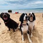 Sue Hibbert - @john.hibbert5 - Instagram