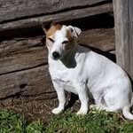 Sue Hickey - @hickey6064 - Instagram