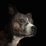 Sue Hickey - @sue.hickey.7758 - Instagram