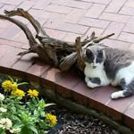 Sue Hickey Cole - @sue.h.cole.16 - Instagram