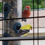 Sue Hinkle - @shink.35 - Instagram
