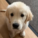 @suehodder09 - Instagram