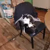 Karen Sue Hood - @karen.sue.hood - TikTok