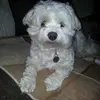 Sue Hood977 - @suehood977 - TikTok