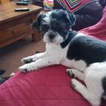 sue Hood - @suehood36 - Instagram