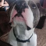 Sue Hooker - @sue.hooker.79274 - Instagram