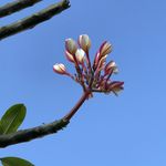 Susan Elizabeth - @sue.hooker60 - Instagram
