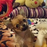 Sue Ingram - @sue.ingram.142 - Instagram