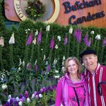 Sue Ingram-Spinicelli - @suespin2020 - Instagram