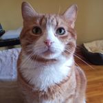 Sue Jacques - @jacquessuzanne496 - Instagram