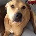 Susan Hurlburt Jacques - Facebook