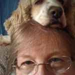 Sue Jahn - @jahnsue - Instagram