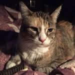 Sue Jahnke - @suewilliamsjahnke - Instagram
