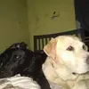 jaynesue2 - @jaynesue2 - TikTok