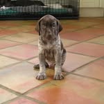 Sue Jayne - @sue.hobson.3785 - Instagram