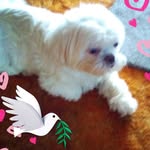 Sue Taylor Jester - @suetaylorjester - Instagram