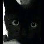 sue ♡ - @sue_joosten - Instagram