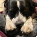 Sue Kellogg - Facebook
