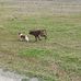 Sue Kellogg - Facebook