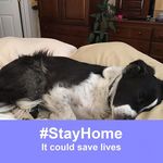 Sue Kellogg - @sue.kellogg.9 - Instagram