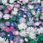 Sue Kellogg-Jadczak - @suekellogg - Instagram
