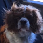 Kelly Sue Keyes Nyikos - @ksue1264 - Instagram